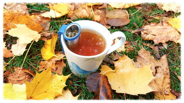 100% Natural Energy Boosting & Anxiety Busting Herbal Tea - MoxTea - 5